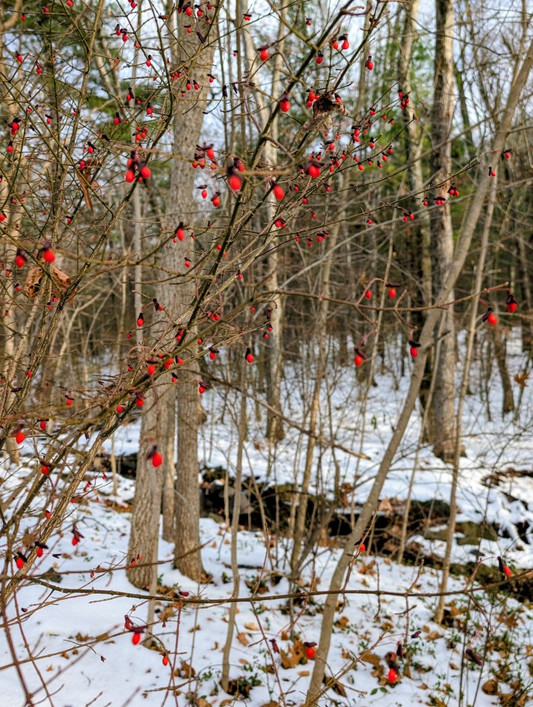 Embracing Servanthood