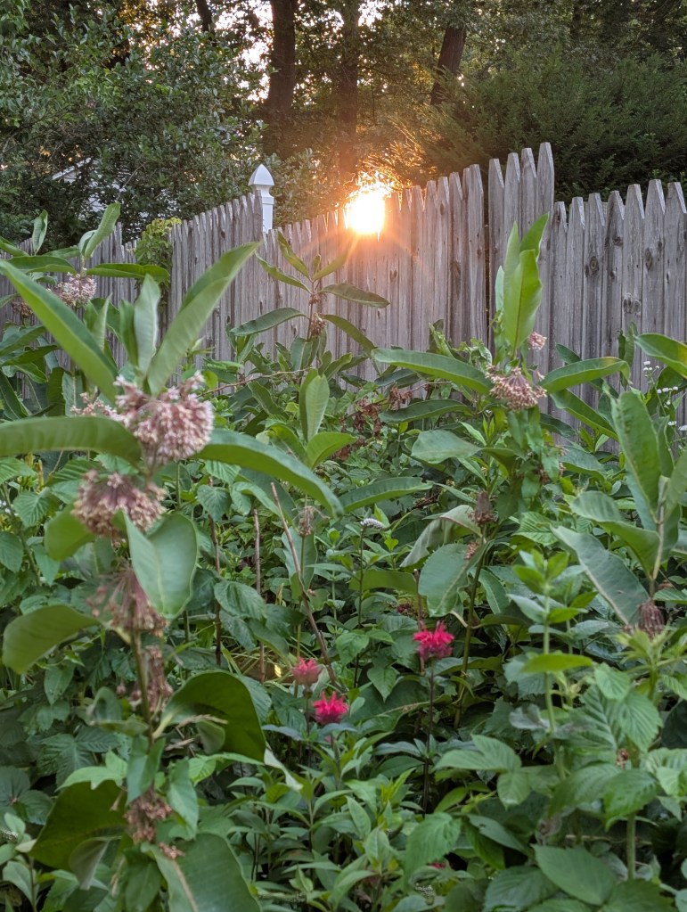 Into the Light